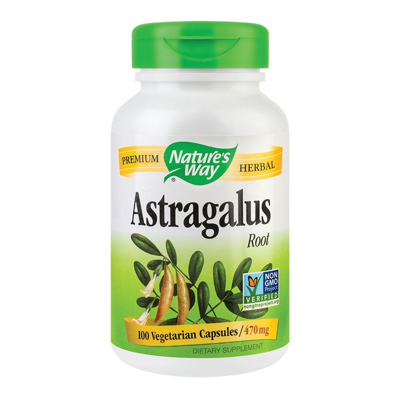 Astragalus Root Nature’s Way, 100 capsule, Secom